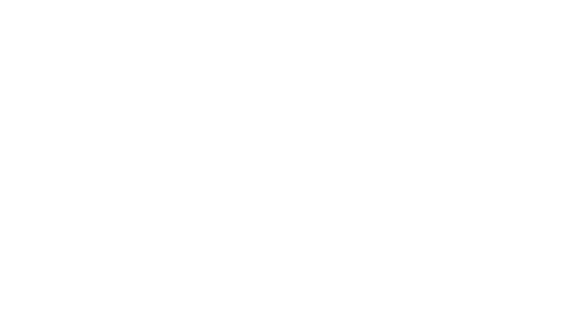 ferroamp-neg-transbg-rgb (1)